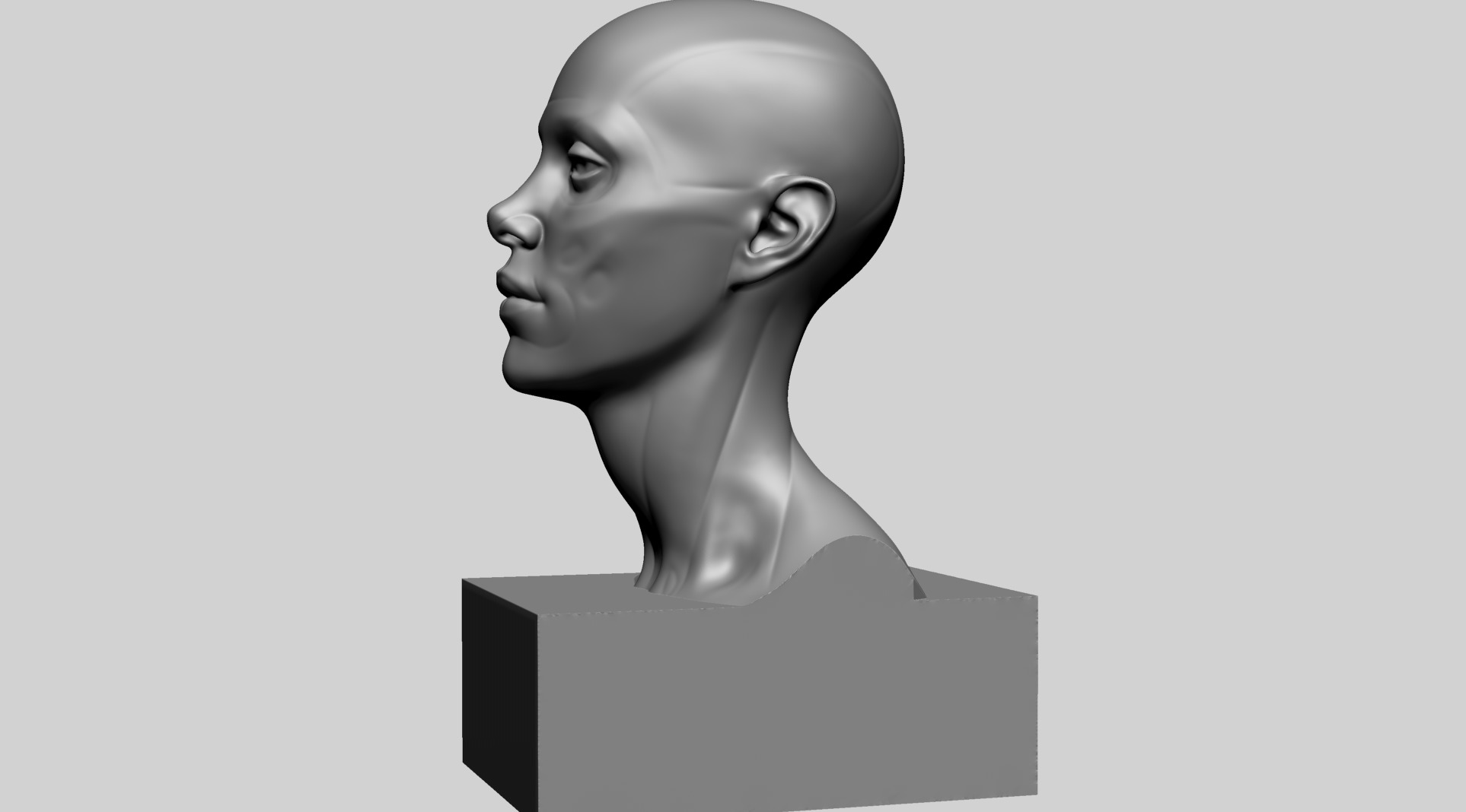 Female Head Anatomy B Printable 3D print model_7