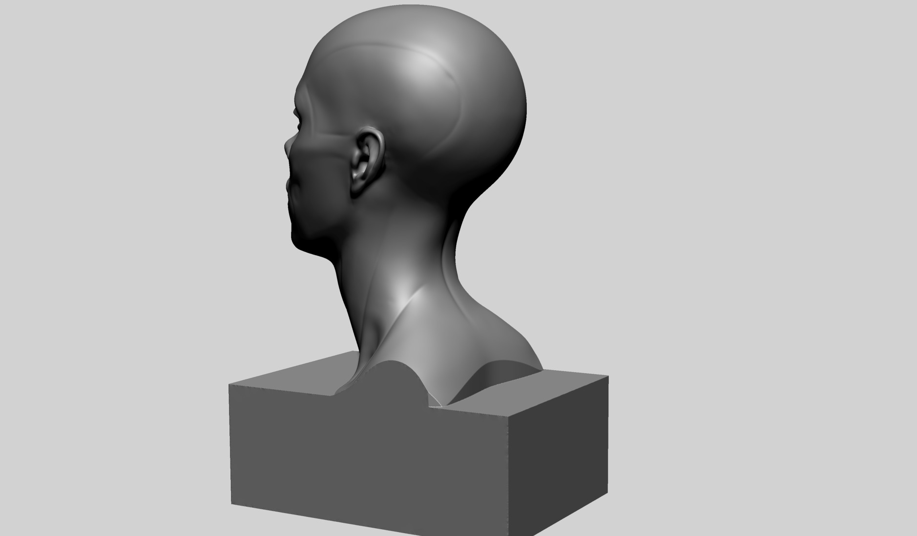 Female Head Anatomy B Printable 3D print model_6