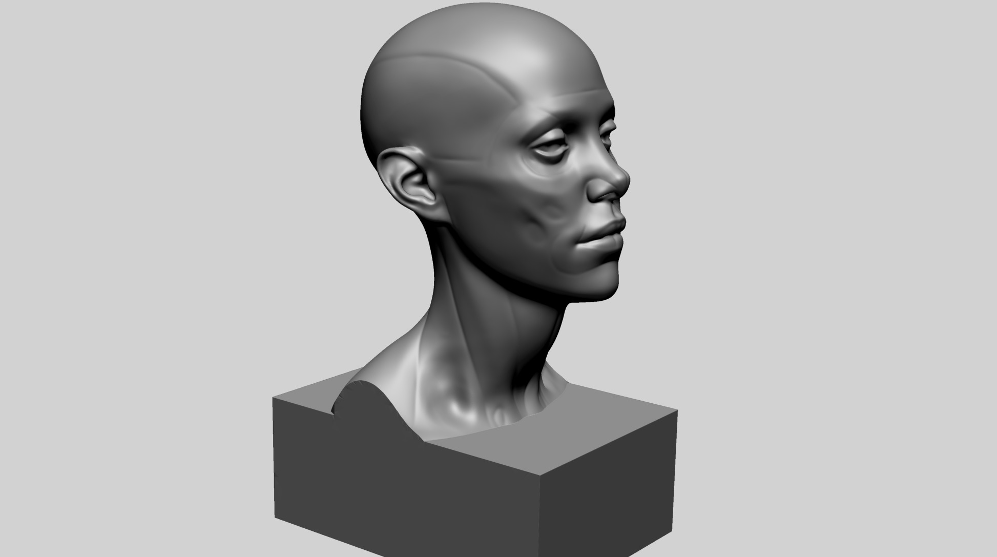 Female Head Anatomy B Printable 3D print model_2