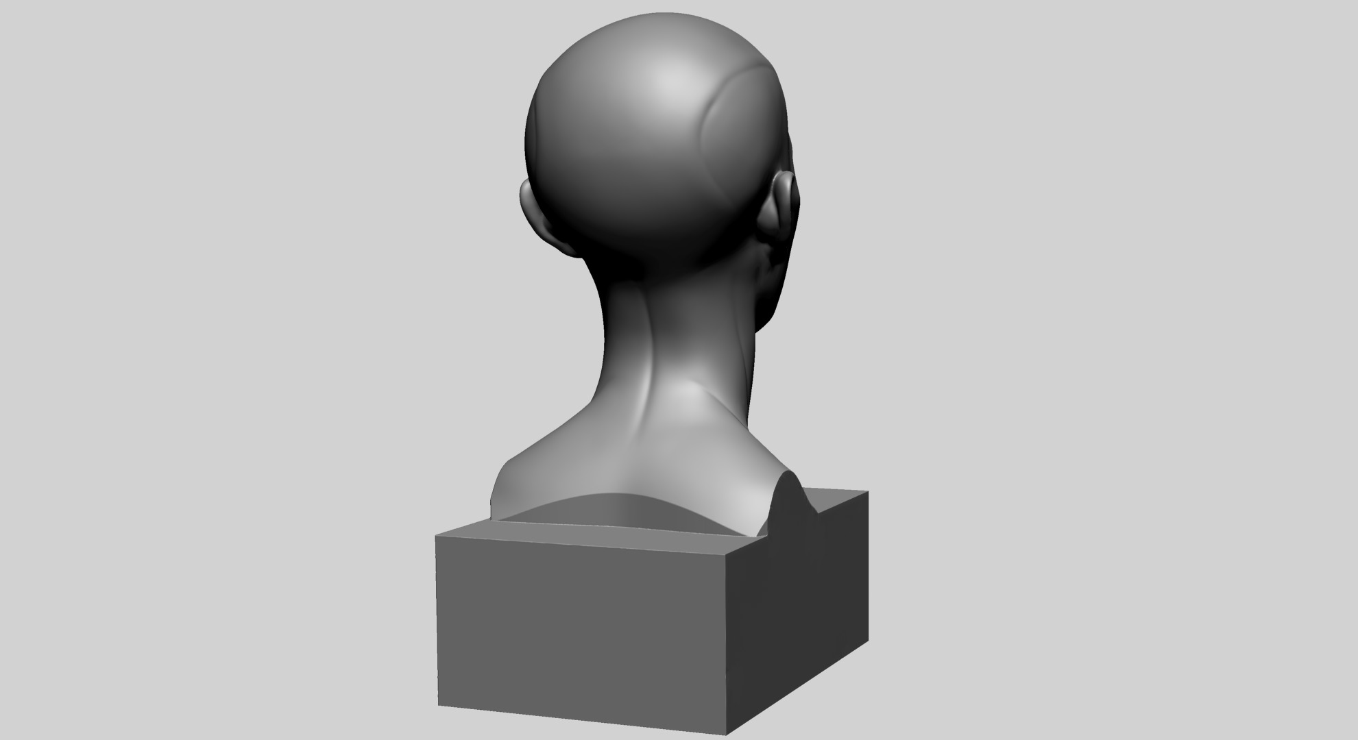 Female Head Anatomy B Printable 3D print model_4