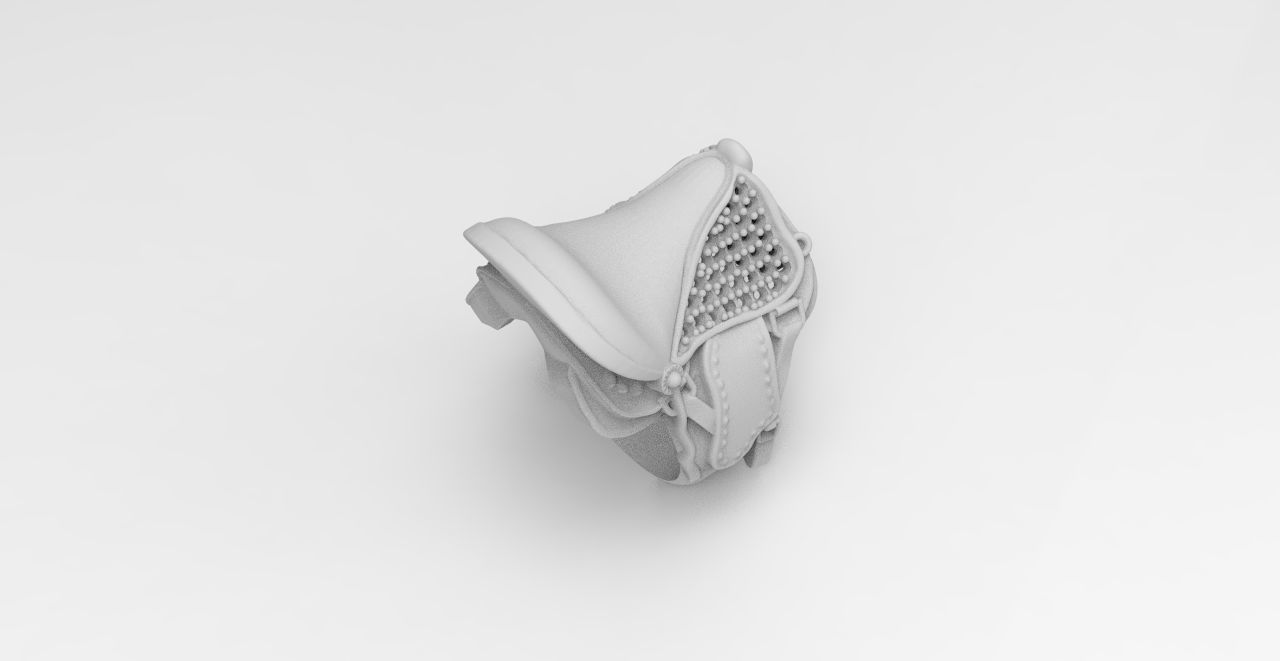 anillo silla de montar  3D print model_3