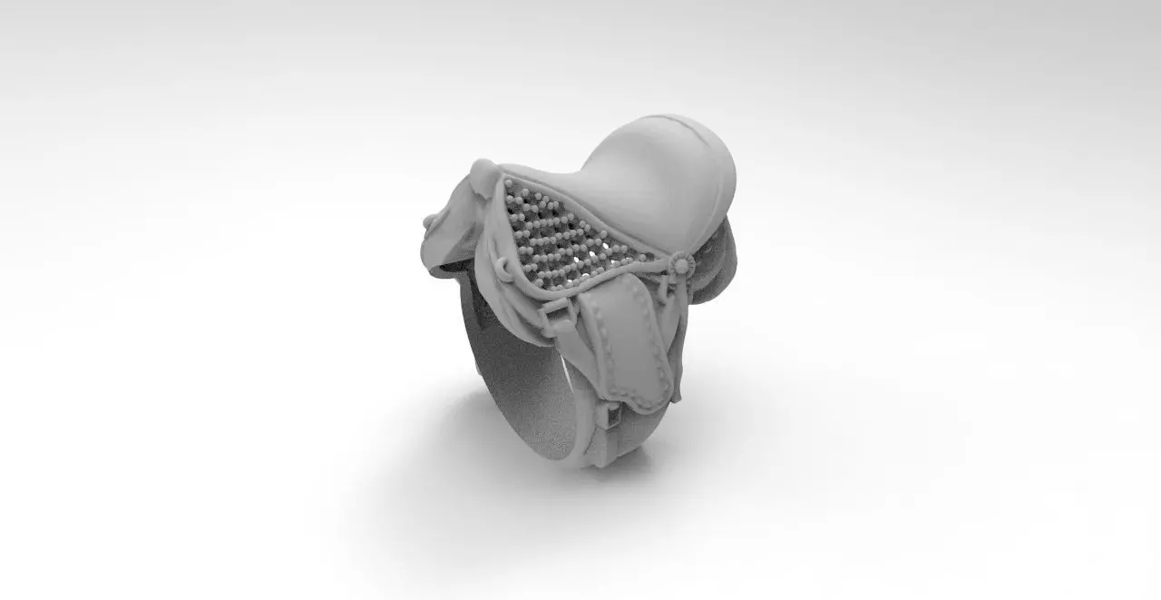 anillo silla de montar  3D print model_0