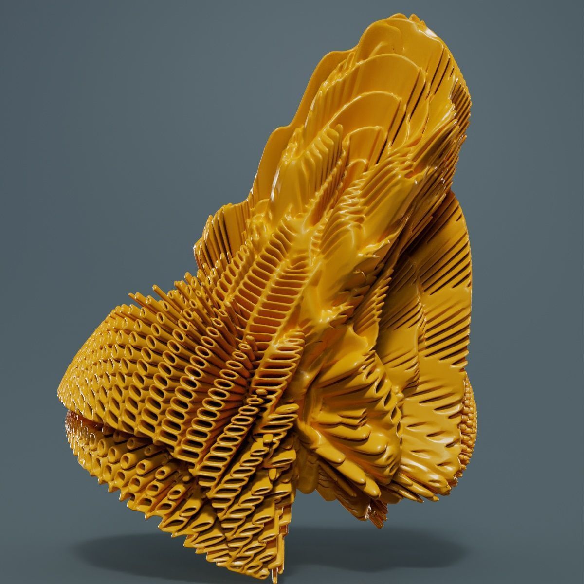 Bell Fish 3D model_11