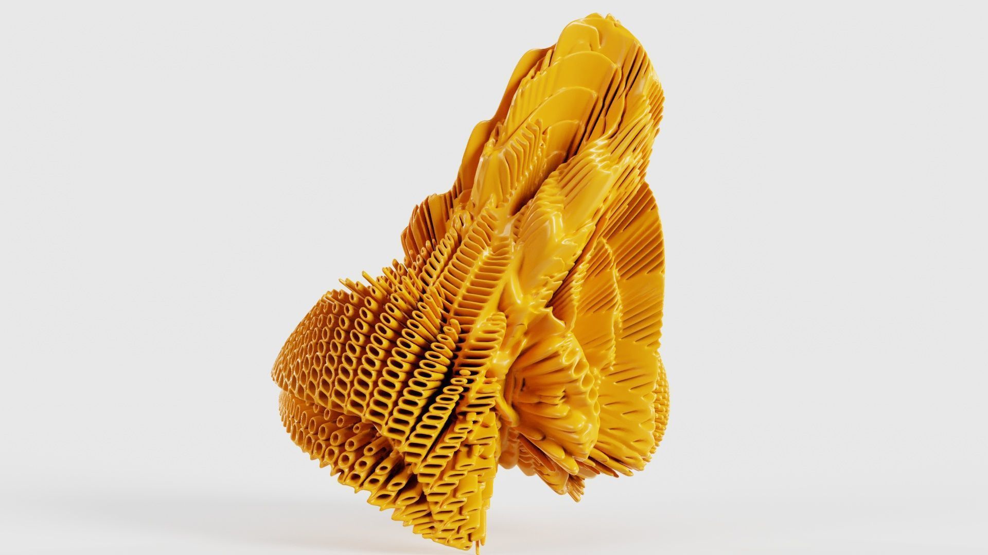 Bell Fish 3D model_20