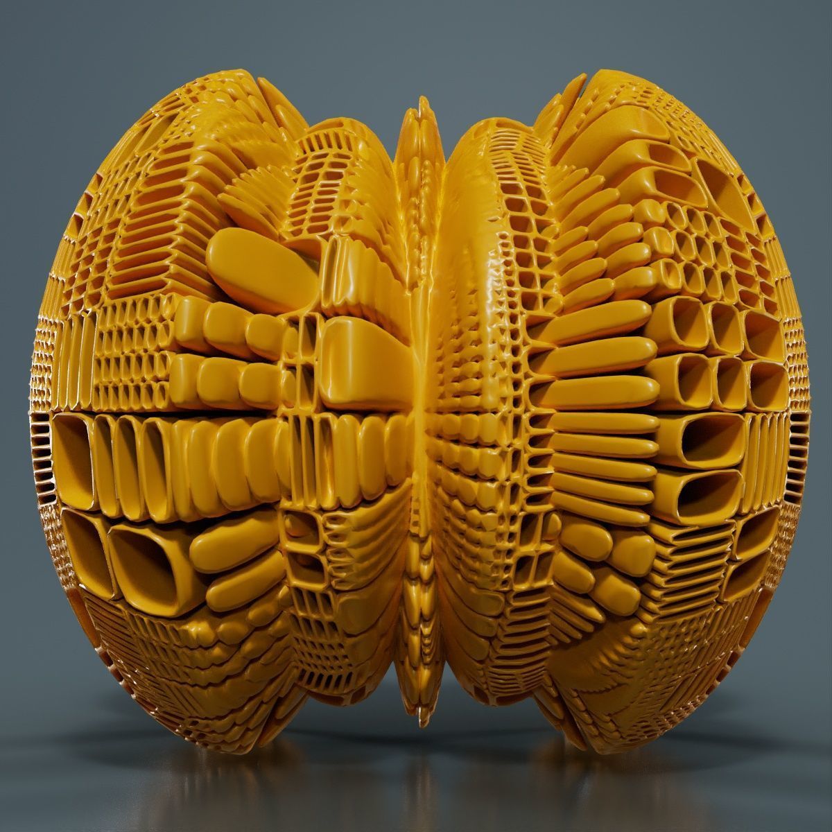 Butterfly 3D model_13