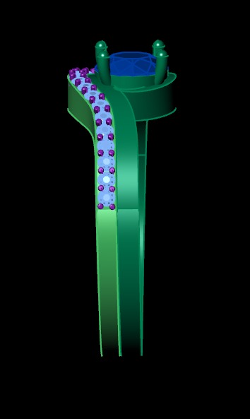 anillo y pis argolla  3D print model_4