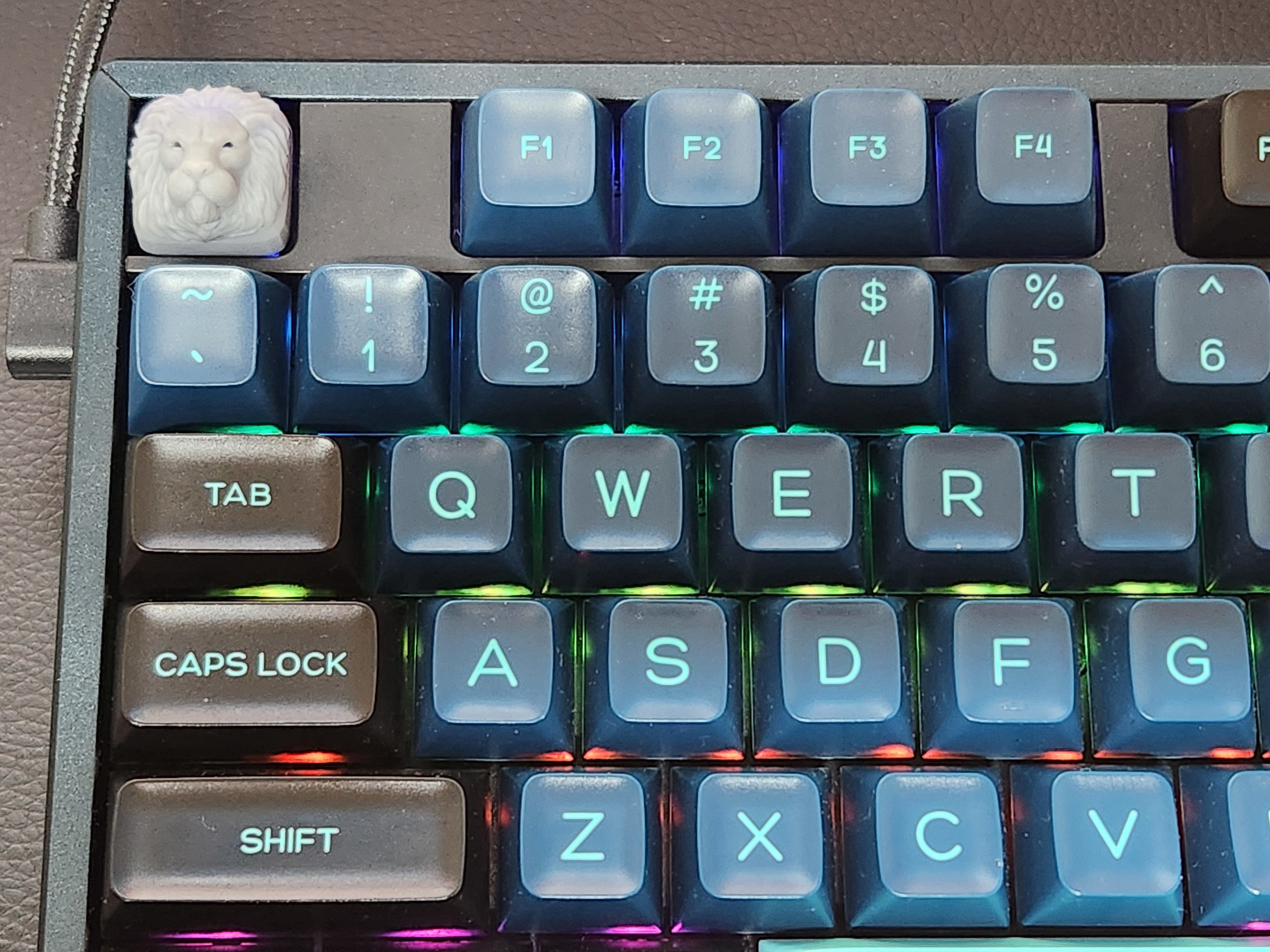 LION KEYCAP 3D print model_4