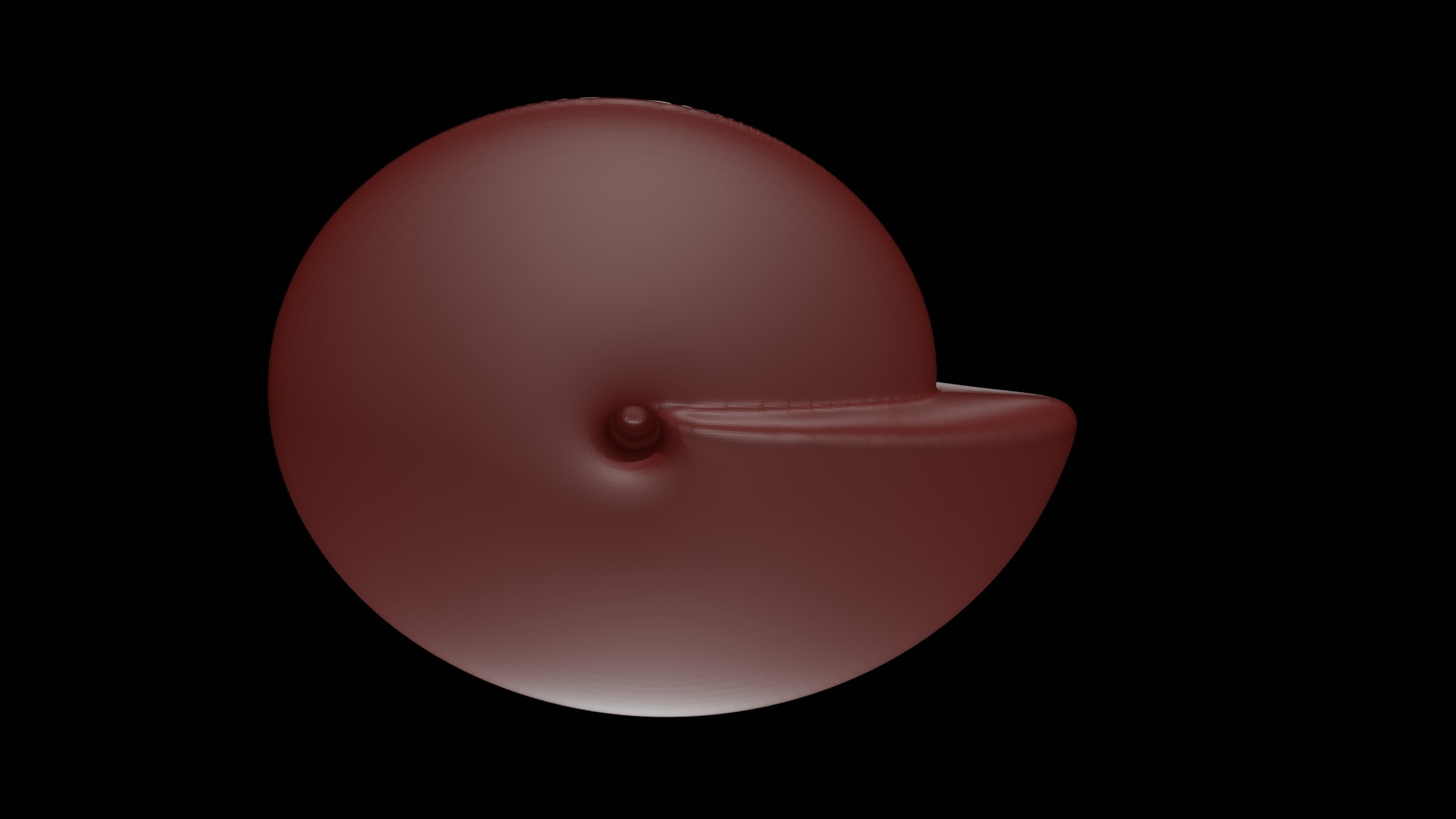 Ammonoid shell involute and compressed Prodromites 3D model_3