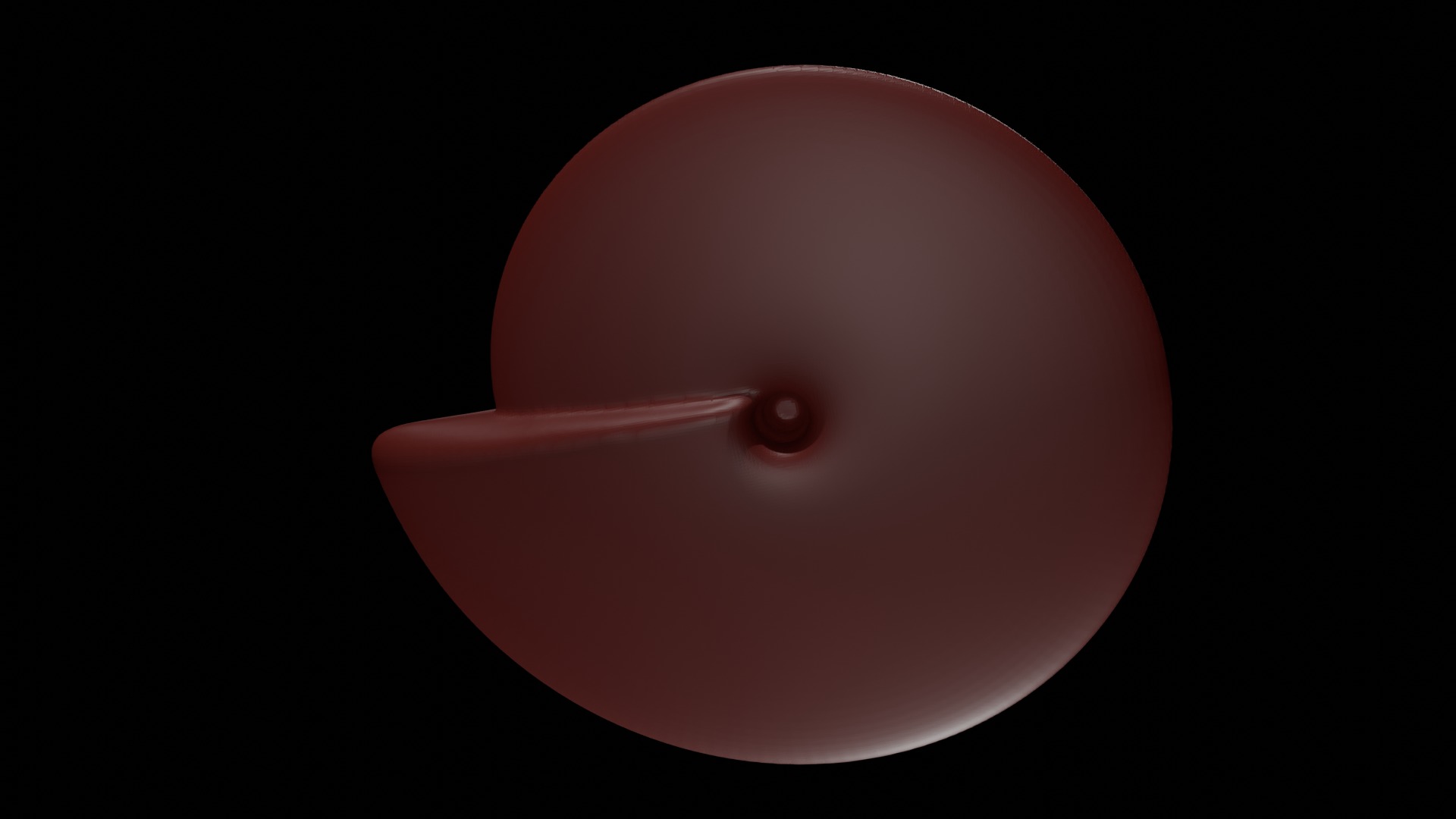 Ammonoid shell involute and compressed Prodromites 3D model_4