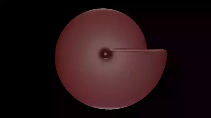Ammonoid shell involute and compressed Prodromites