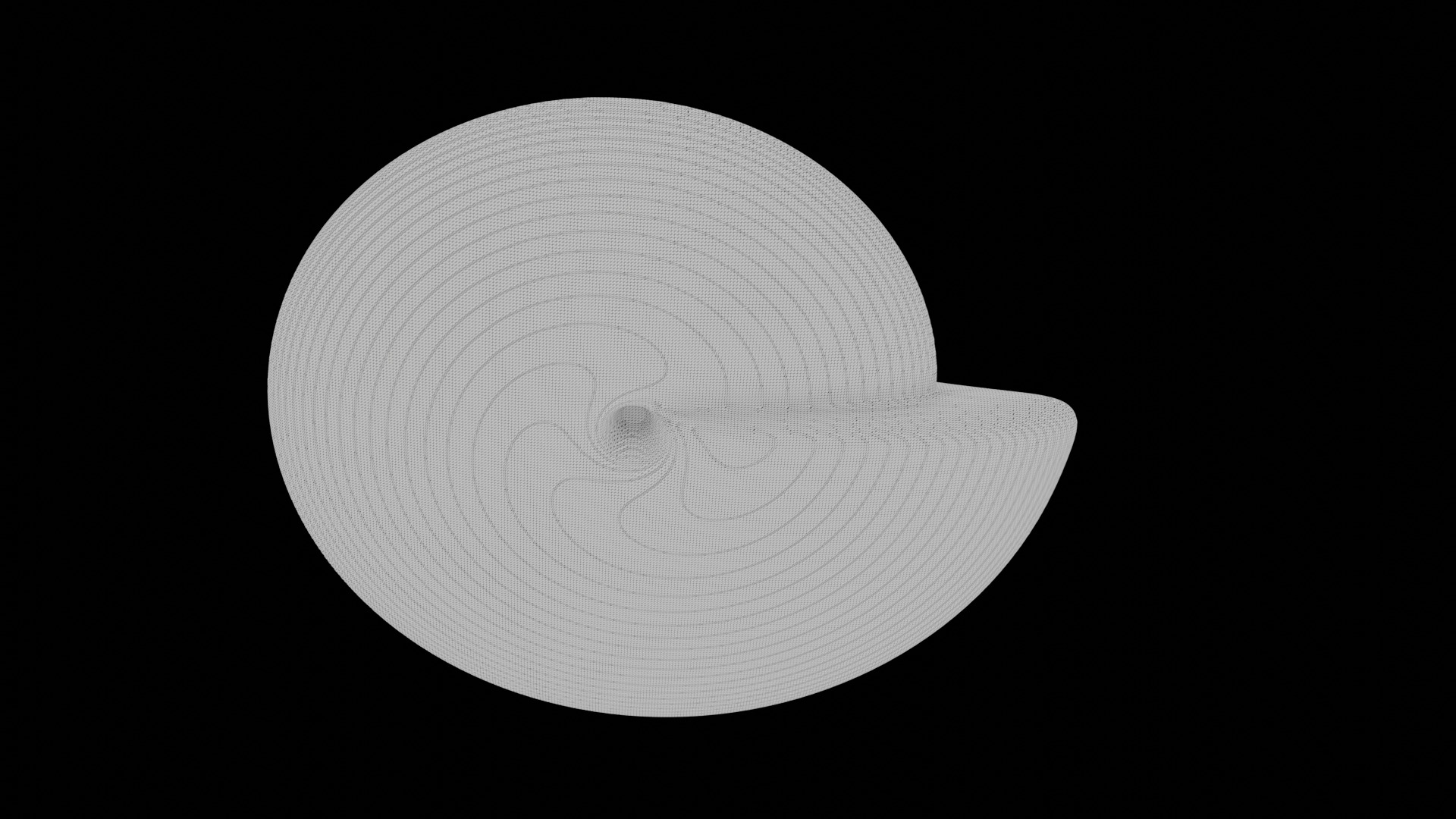 Ammonoid shell involute and compressed Prodromites 3D model_9