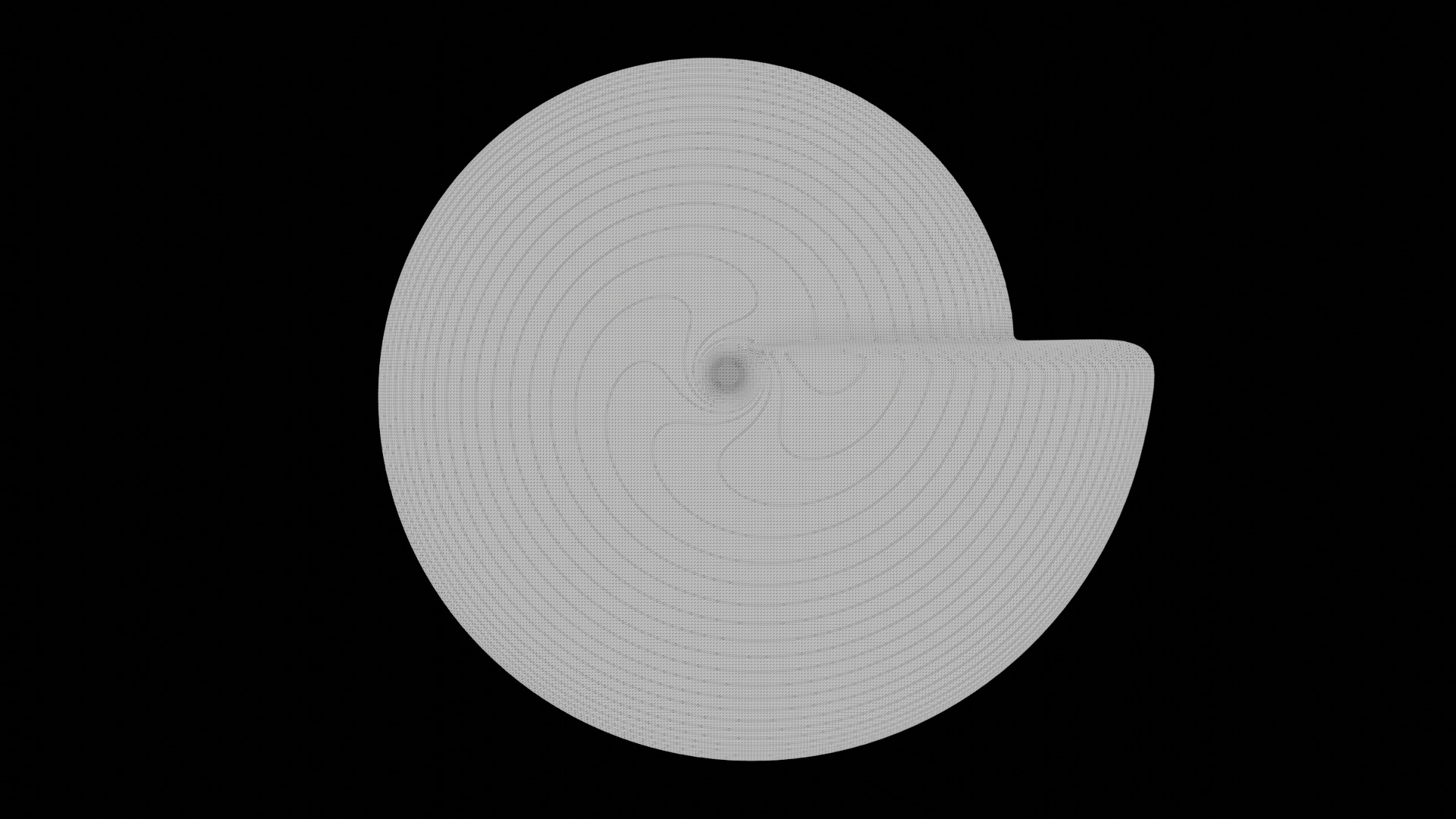 Ammonoid shell involute and compressed Prodromites 3D model_6