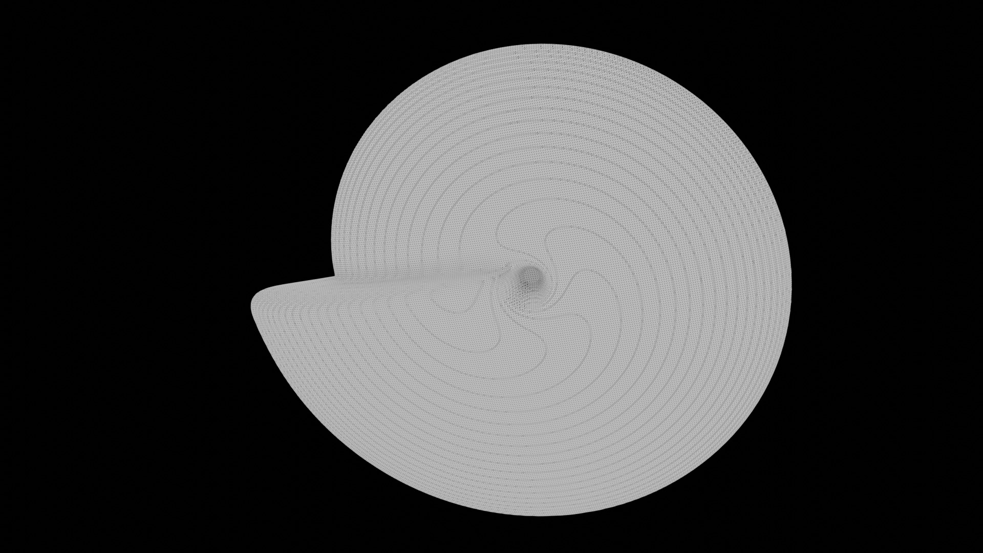 Ammonoid shell involute and compressed Prodromites 3D model_10