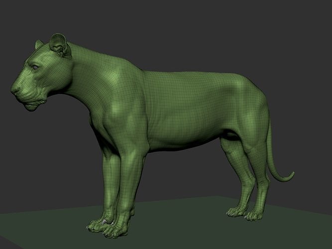 Lion Highpoly Low-poly 3D model