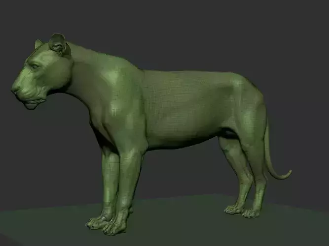 Lion Highpoly