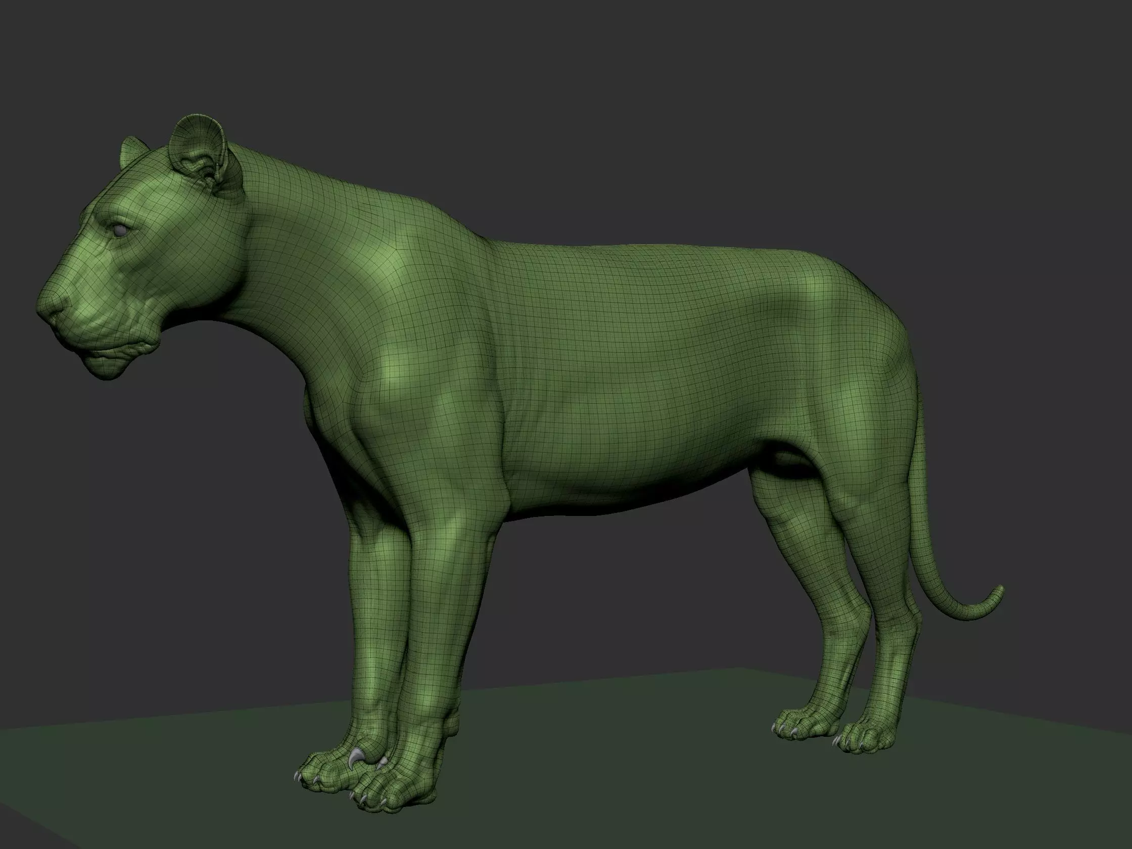 Lion Highpoly Low-poly 3D model_0