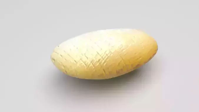 Boiled White Bean Piece
