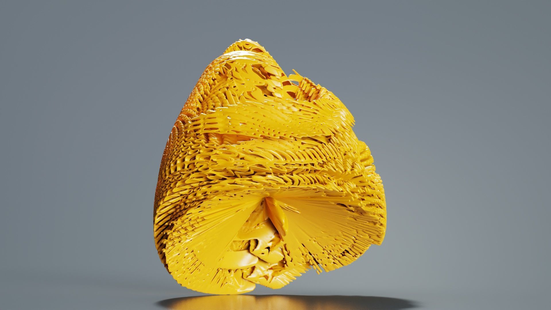 Disk Fish 3D model_4