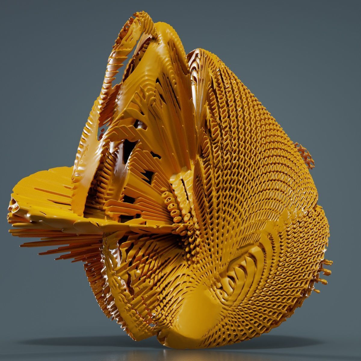 Disk Fish 3D model_16