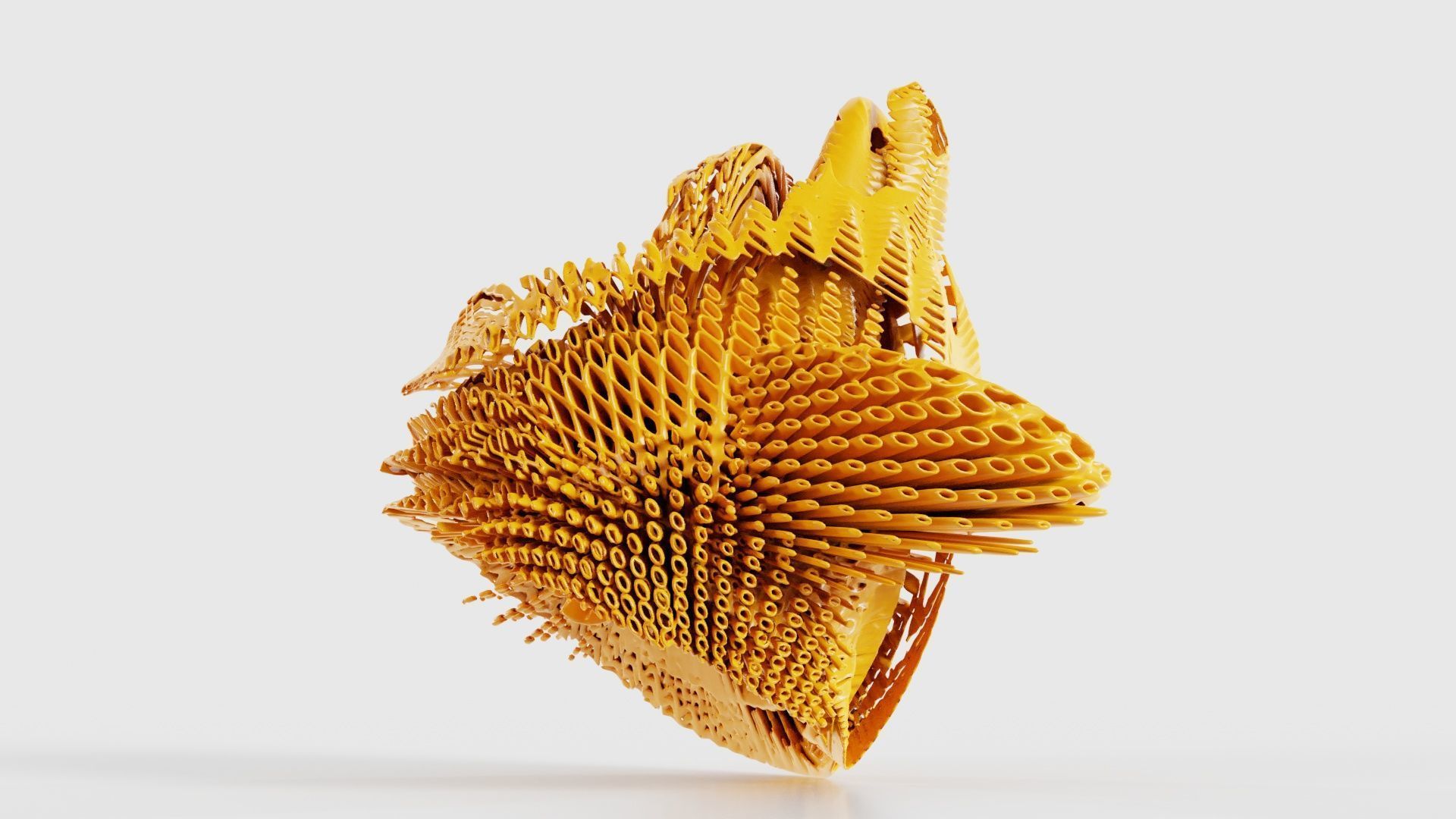 Disk Fish 3D model_20