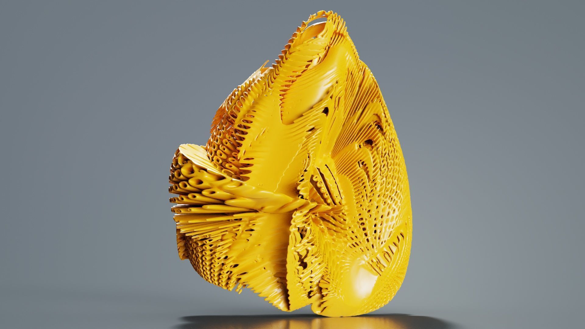 Disk Fish 3D model_5