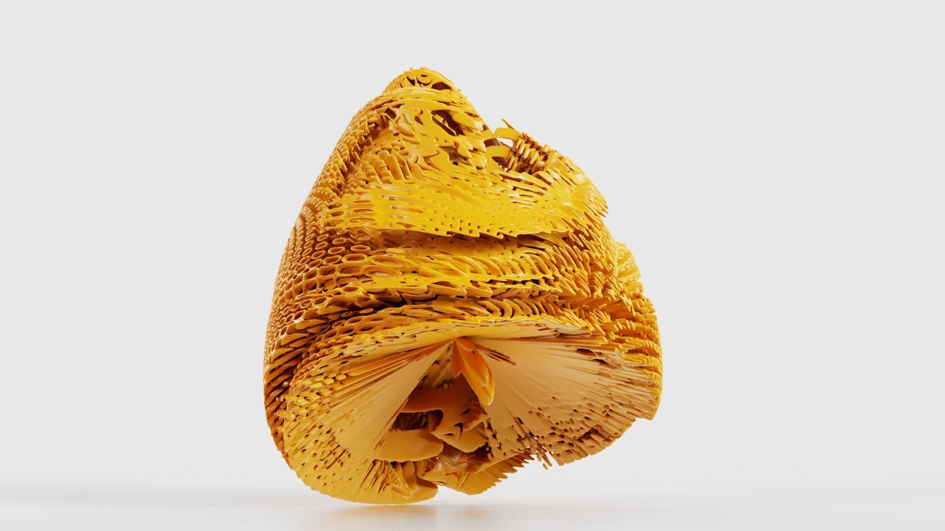 Disk Fish 3D model_23