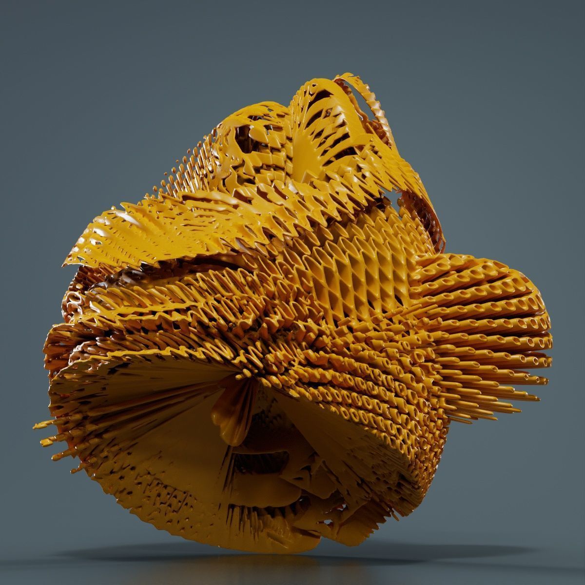 Disk Fish 3D model_12
