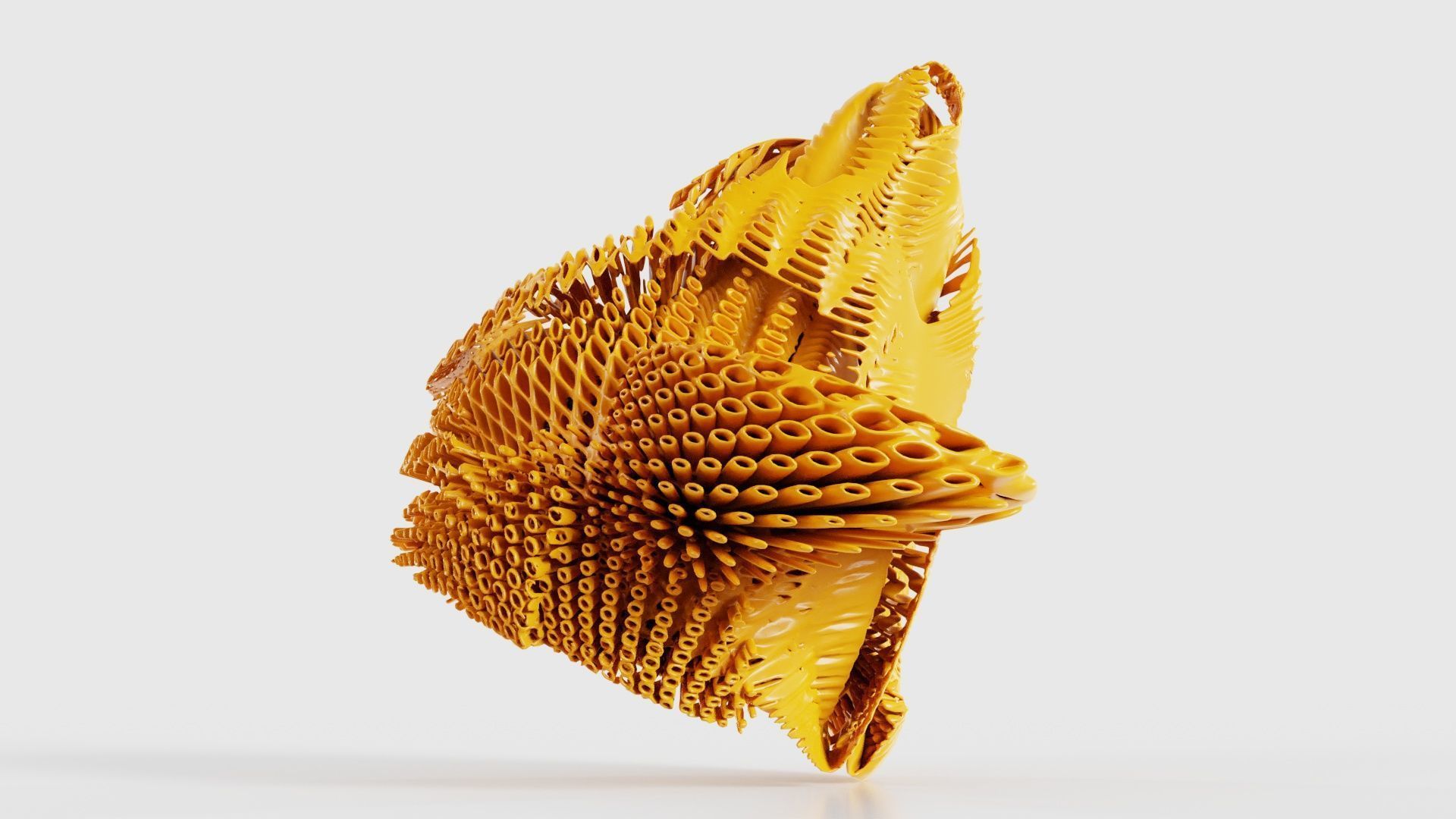 Disk Fish 3D model_19