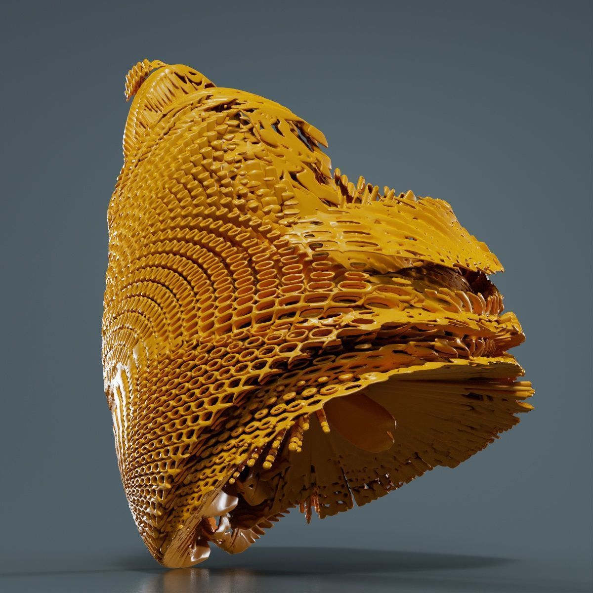 Disk Fish 3D model_14