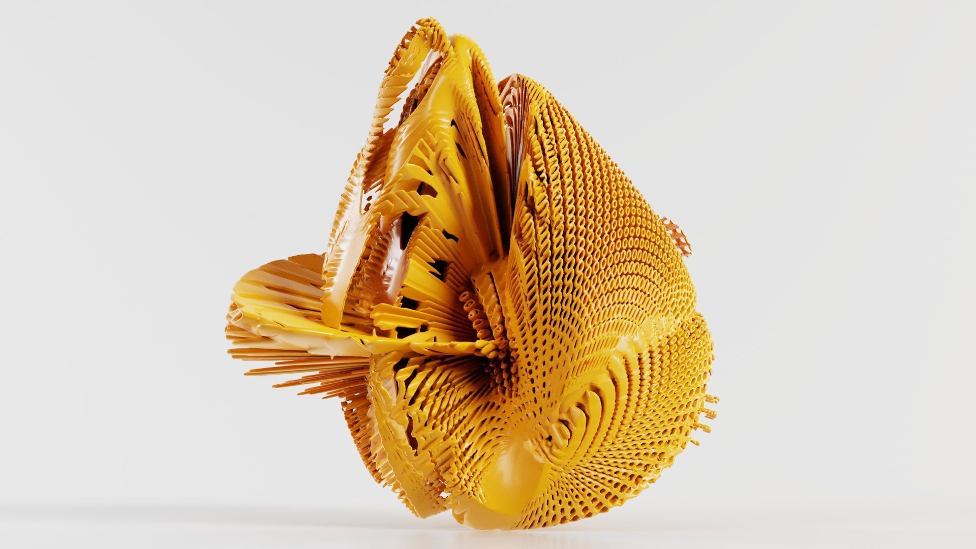 Disk Fish 3D model_6