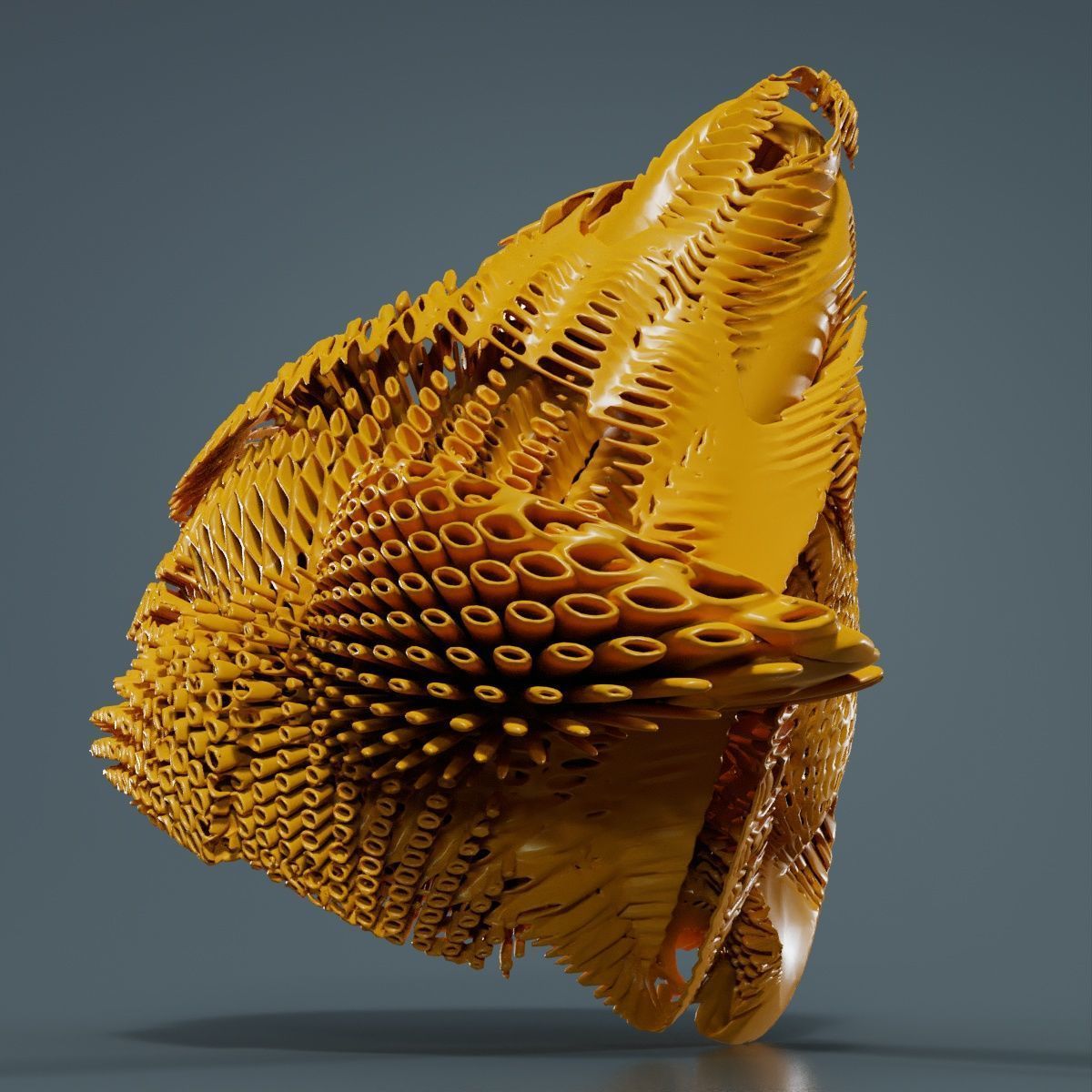 Disk Fish 3D model_10