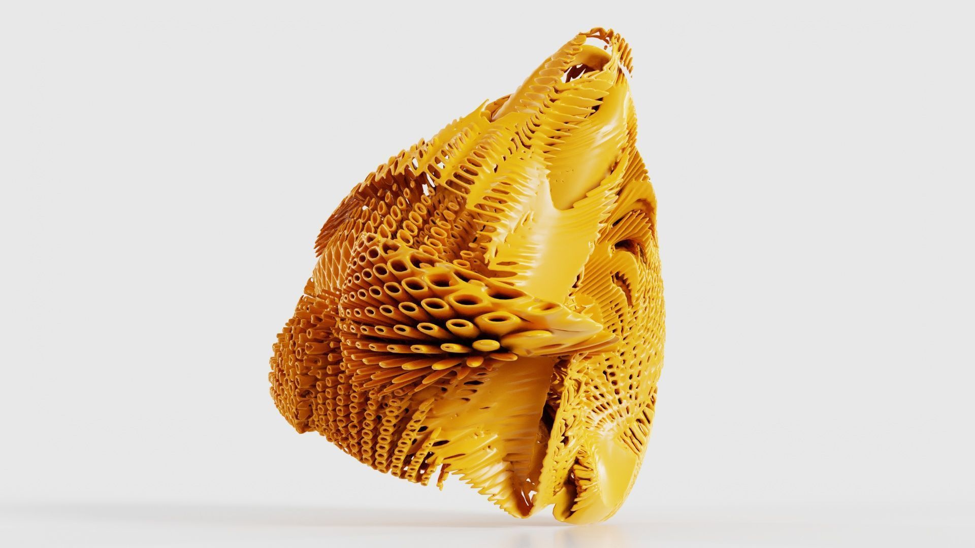 Disk Fish 3D model_18