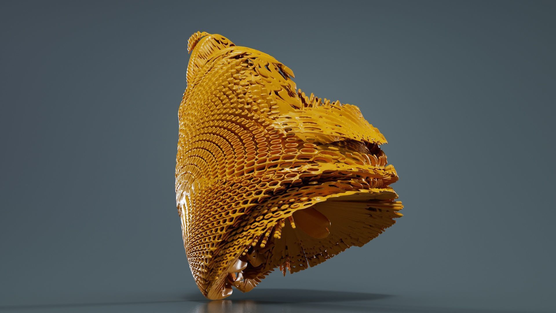 Disk Fish 3D model_1
