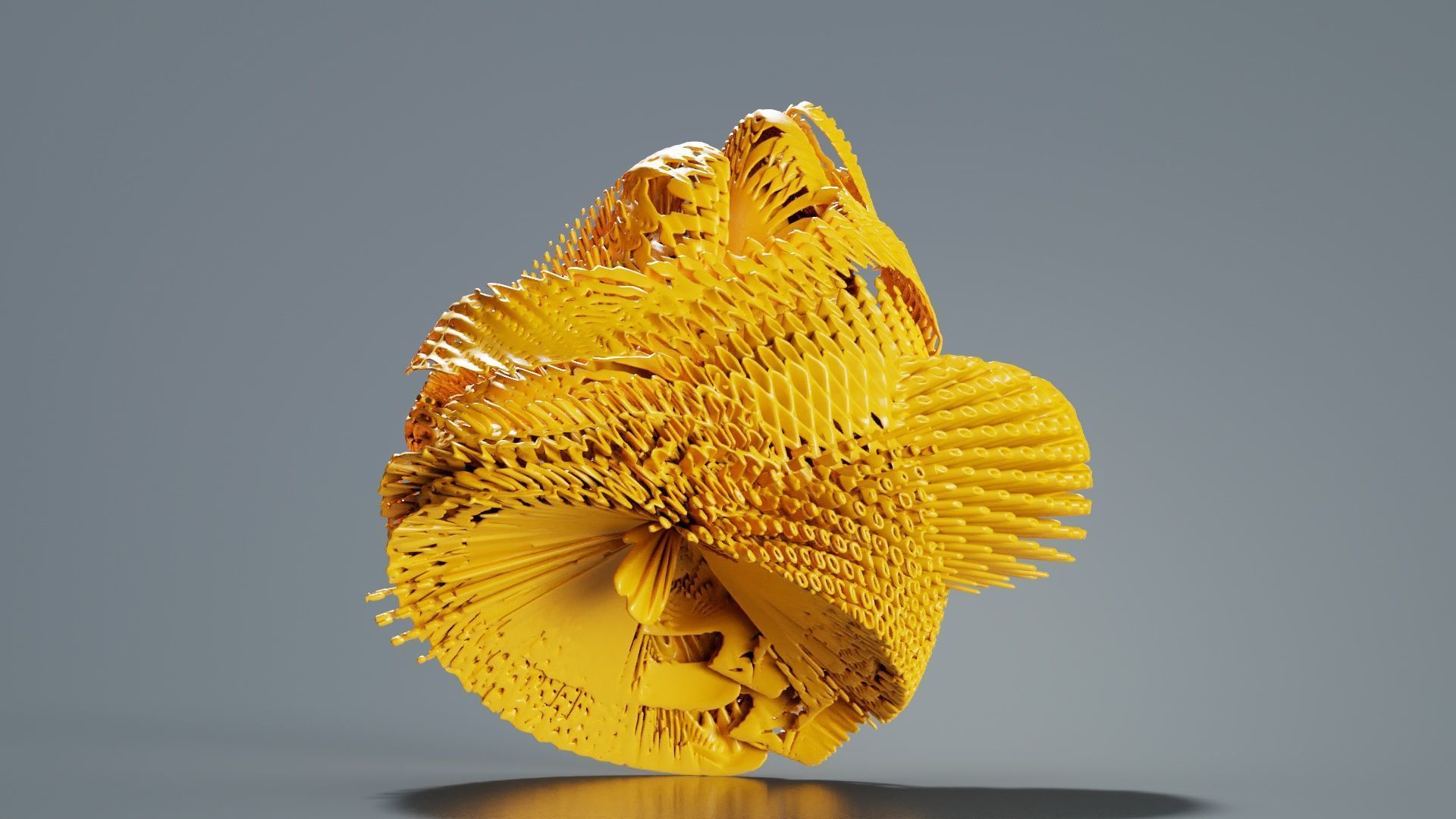 Disk Fish 3D model_3