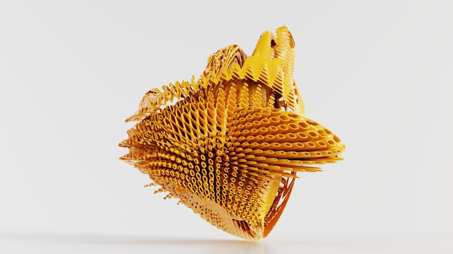 Disk Fish 3D model_2