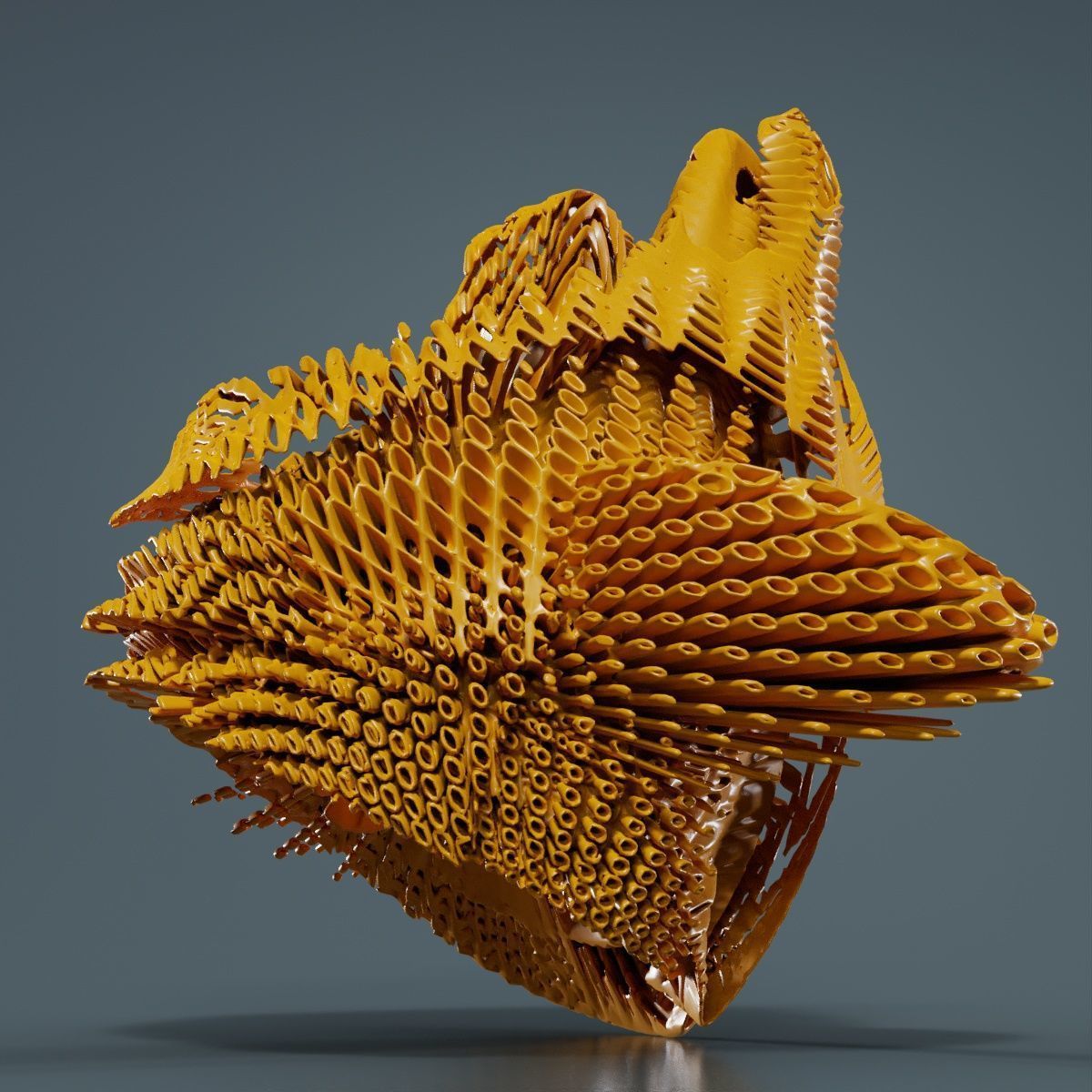 Disk Fish 3D model_11