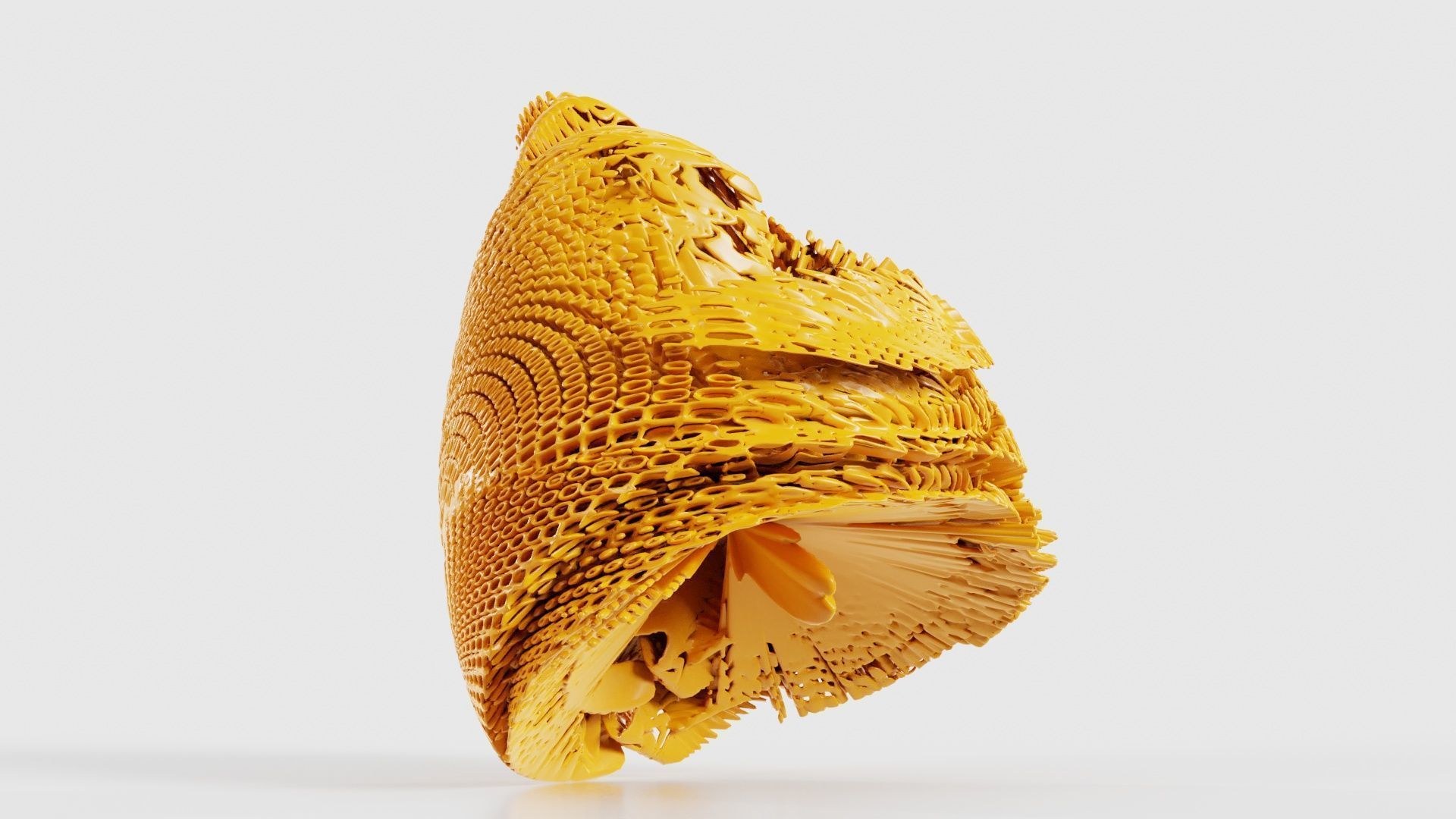 Disk Fish 3D model_24