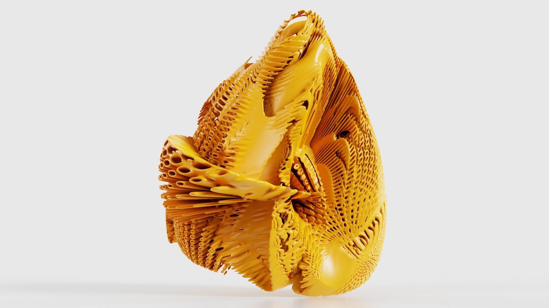 Disk Fish 3D model_17