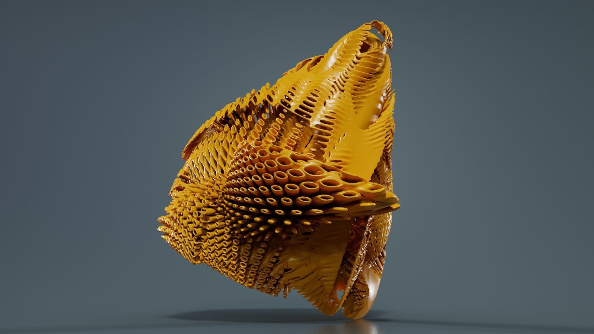 Disk Fish 3D model_7