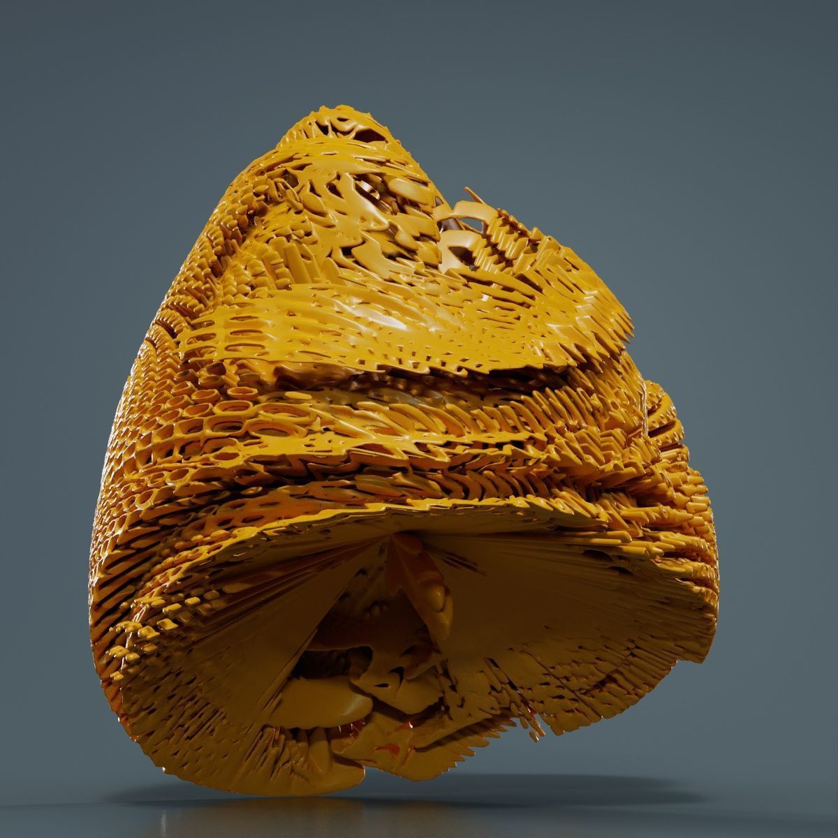 Disk Fish 3D model_13