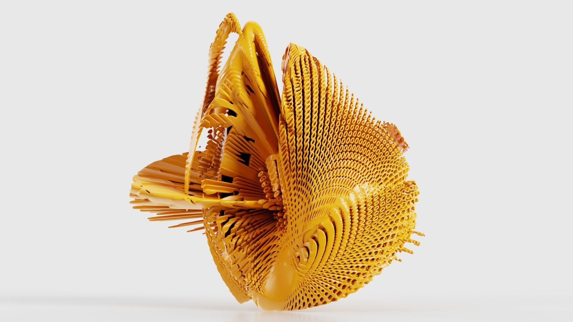 Disk Fish 3D model_27