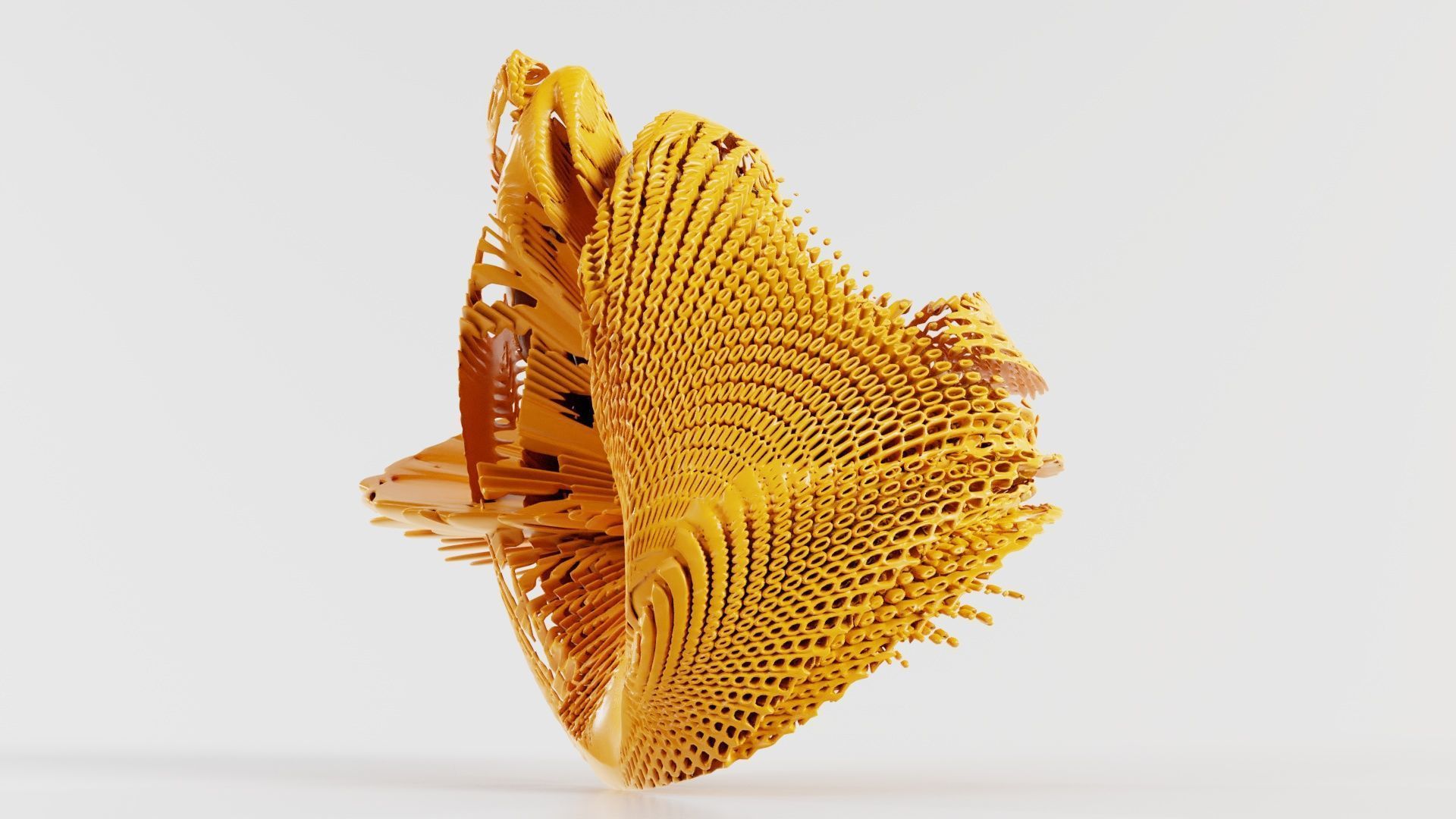 Disk Fish 3D model_8