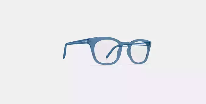Newman Eyeglasses in Shoreline Low-poly 3D model