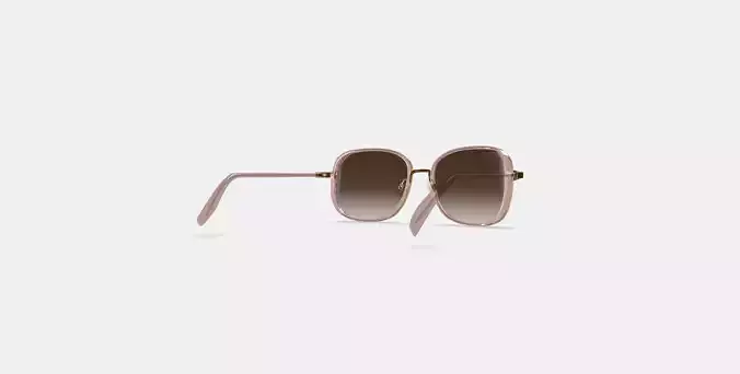 Fernanda Sunglasses in Antique Rose with Polished Gold
