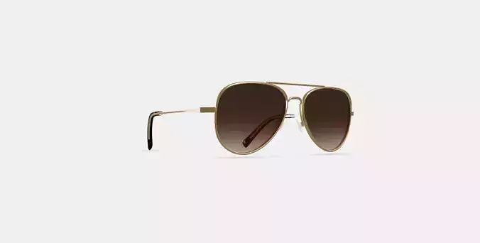 Raider Sunglasses in Polished Gold