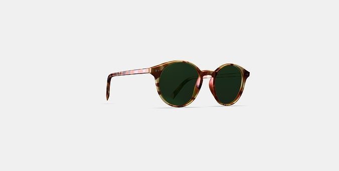 Morgan Sunglasses in Mesa Tortoise Low-poly 3D model