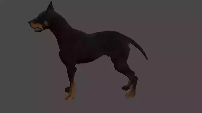 Doberman  3D model