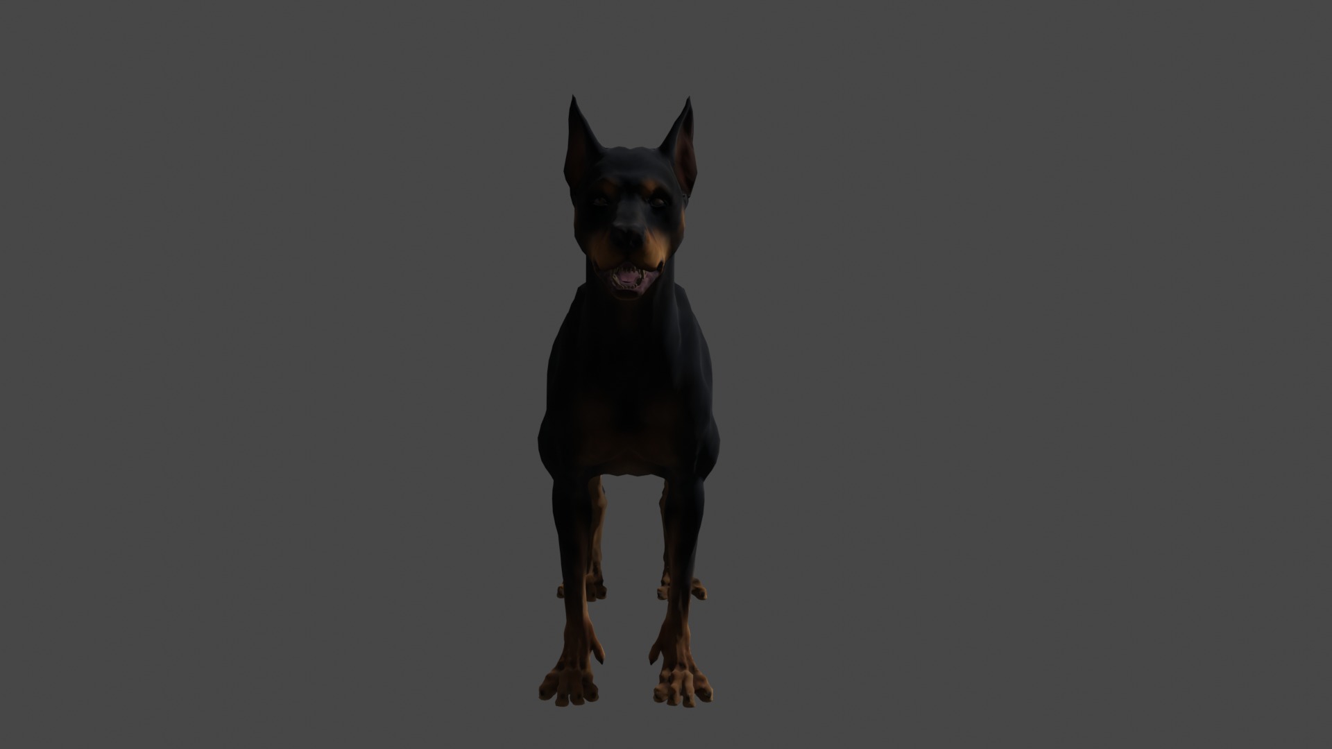 Doberman 3D model_1