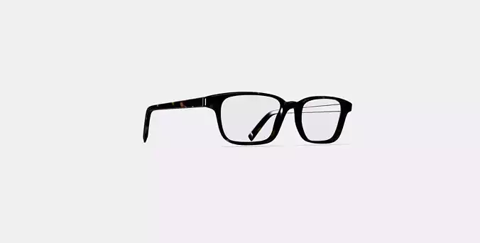 Crane Eyeglasses in Whiskey Tortoise Low-poly 3D model