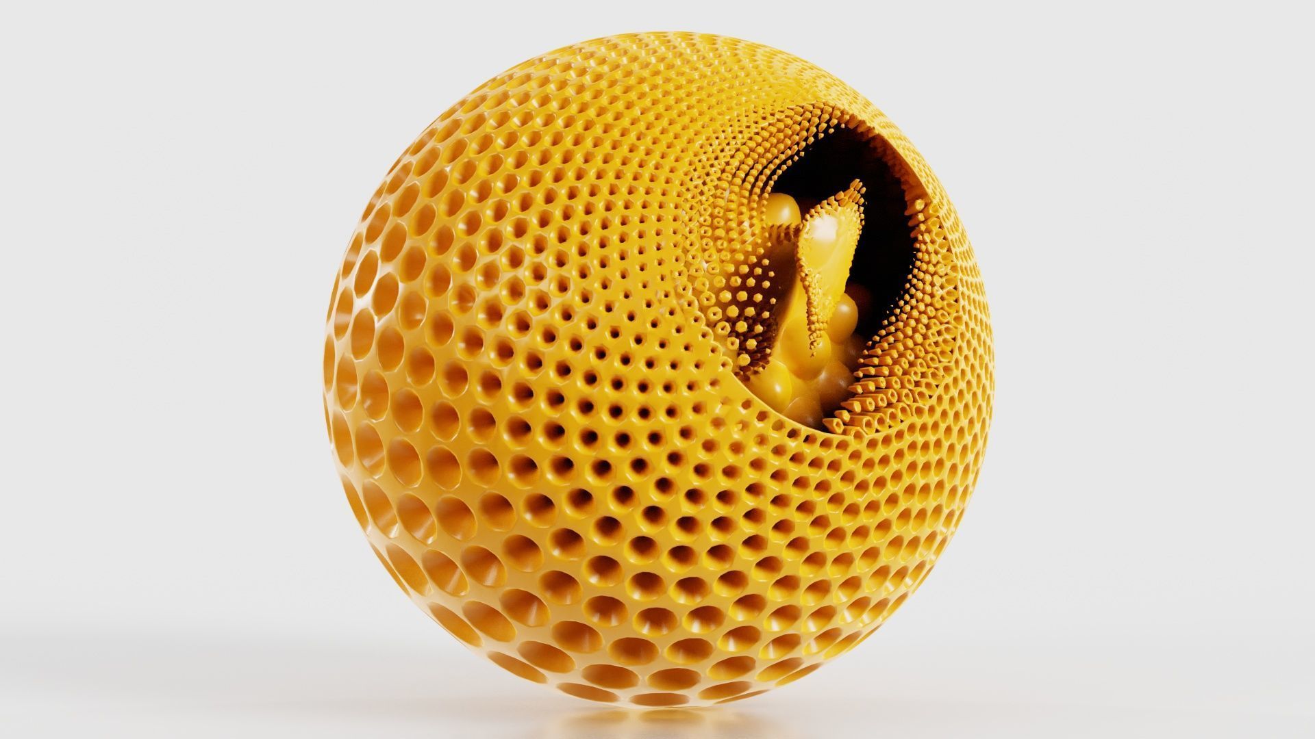 Multiverse 3D model_24